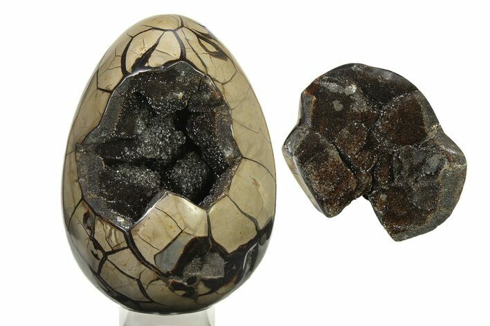 Septarian Dragon Egg Geode - Removable Section #317559